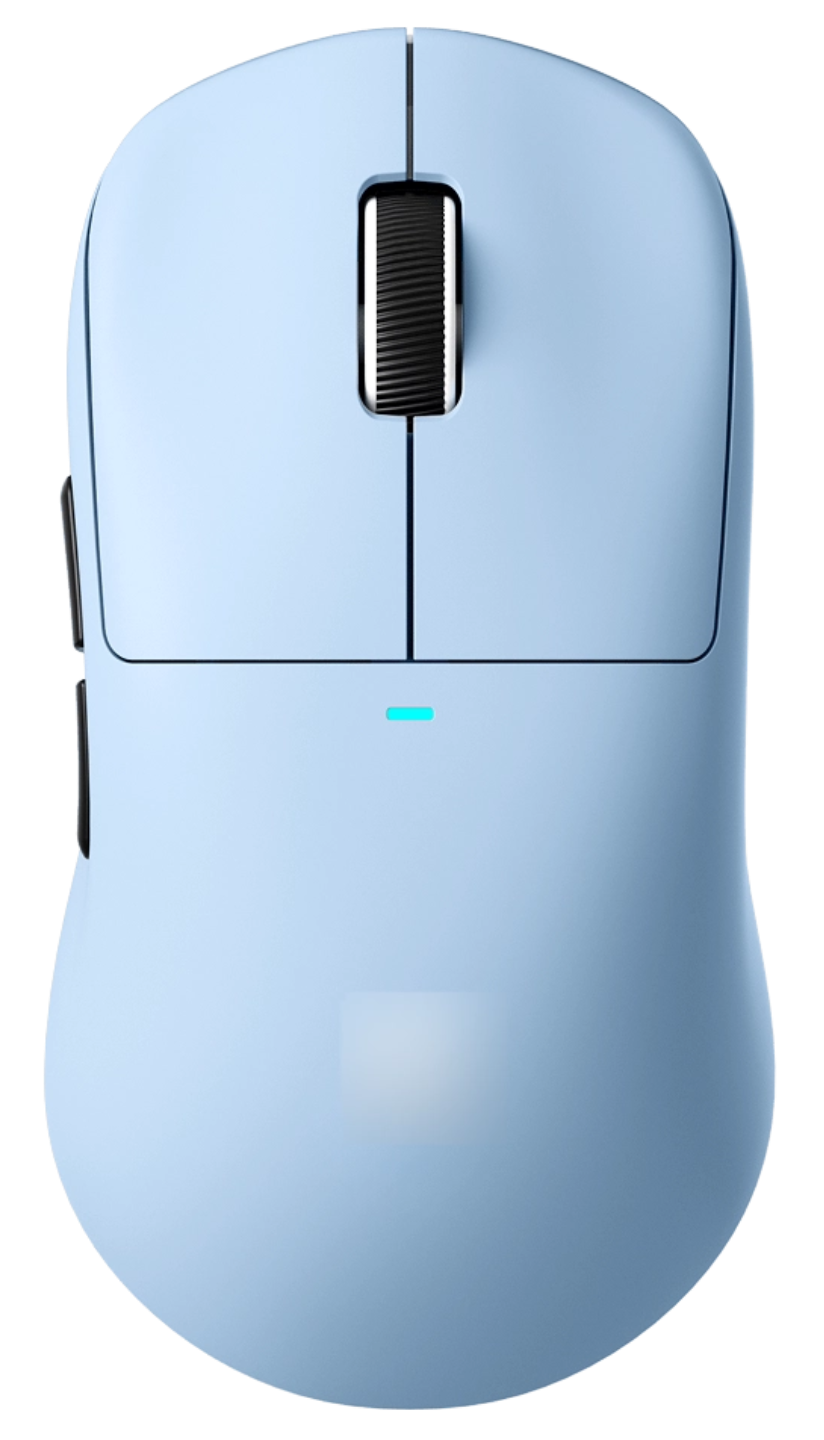 Mouse